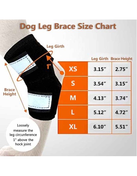 Rear Dog Leg Hock Brace With Reflective Straps