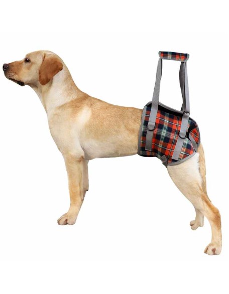 Dog Support Harness Front and Back Legs For Small Medium Large Dogs