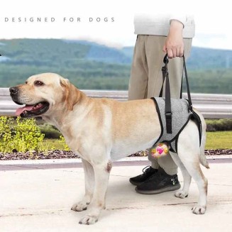 Care Dog Leg Support Harness - Gentle Assistance for Elderly Disabled Dogs