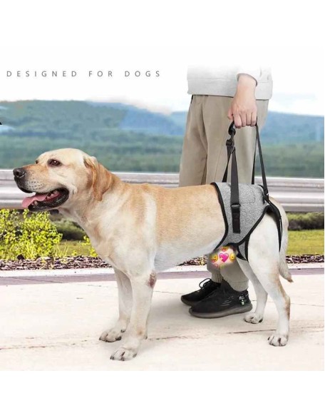 Care Dog Leg Support Harness - Gentle Assistance for Elderly Disabled Dogs