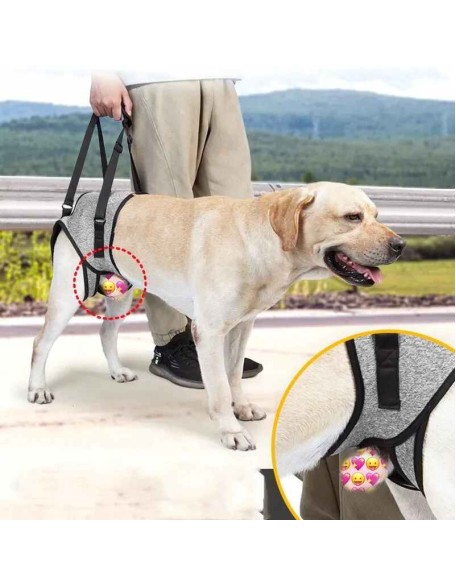 Care Dog Leg Support Harness - Gentle Assistance for Elderly Disabled Dogs