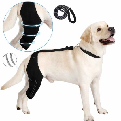 Dog Knee Brace, Dog Leg Brace for Sprain ACL, CCL, Arthritis