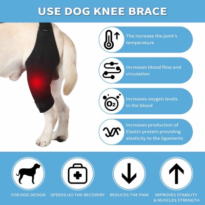 Dog Knee Brace, Dog Leg Brace for Sprain ACL, CCL, Arthritis