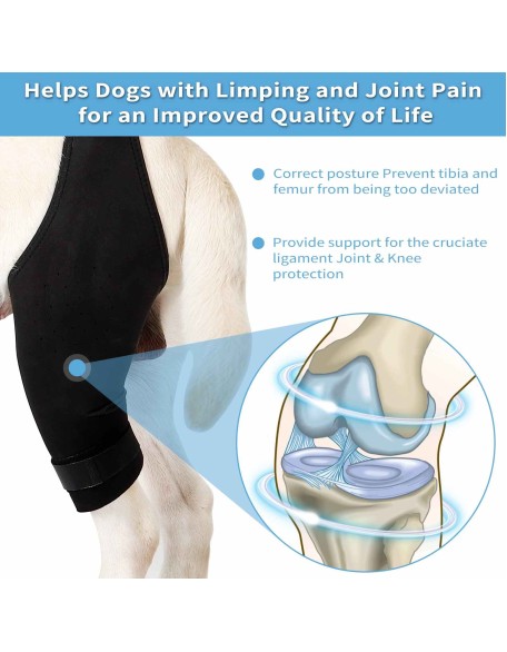 Dog Knee Brace, Dog Leg Brace for Sprain ACL, CCL, Arthritis