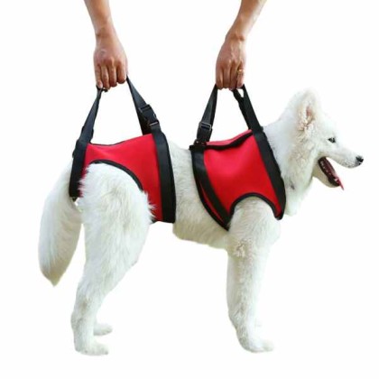 Dog Lift Harness for Dog Front Back Leg