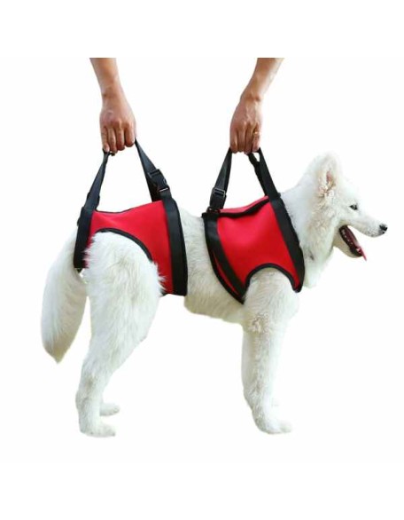 Dog Lift Harness for Dog Front Back Leg