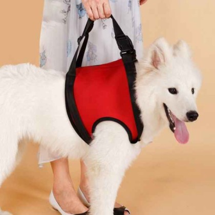 Dog Lift Harness for Dog Front Back Leg