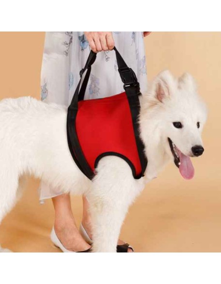 Dog Lift Harness for Dog Front Back Leg