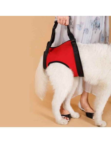 Dog Lift Harness for Dog Front Back Leg