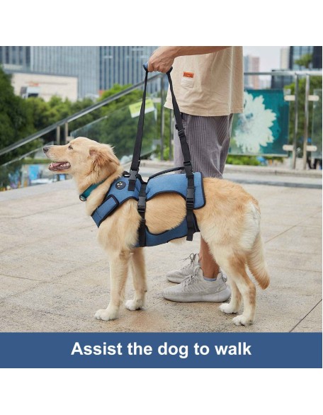 Dog Lift Harness, Support & Recovery Sling, Pet Rehabilitation Lifts Vest