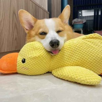 Calming Duck Dog Toy