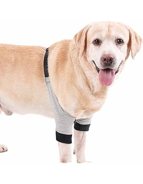 Dog Front Leg Braces Recovery Sleeve Protector Pet Knee Brace Wounds for Medium Large Dog