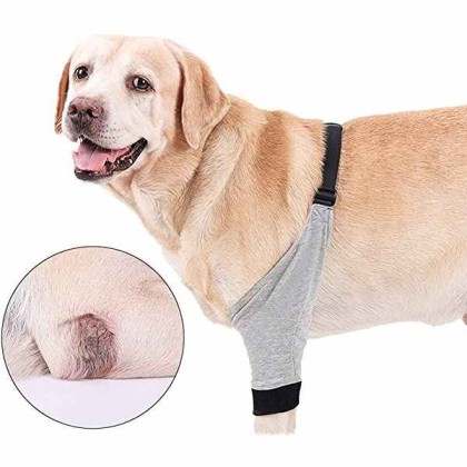 Dog Front Leg Braces Recovery Sleeve Protector Pet Knee Brace Wounds for Medium Large Dog