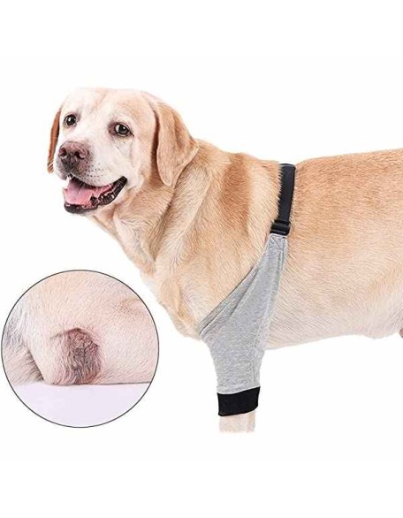 Dog Front Leg Braces Recovery Sleeve Protector Pet Knee Brace Wounds for Medium Large Dog