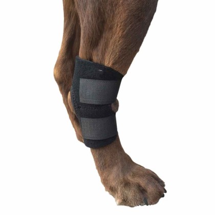 Extra Supportive Canine Hock Brace