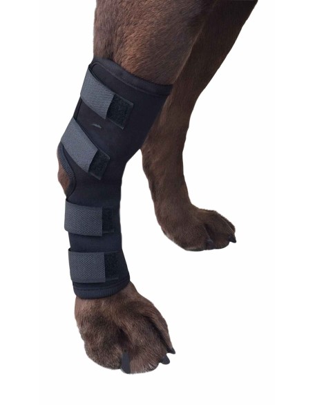 Extra Supportive Canine Hock Brace