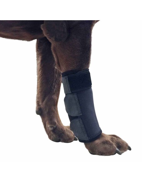 Extra Supportive Canine Hock Brace