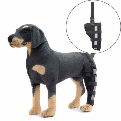 Best Dog Knee Brace for Torn ACL