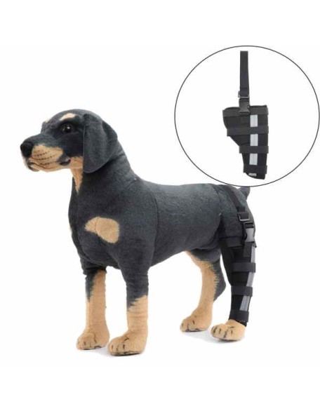 Best Dog Knee Brace for Torn ACL