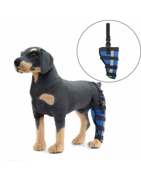 Best Dog Knee Brace for Torn ACL