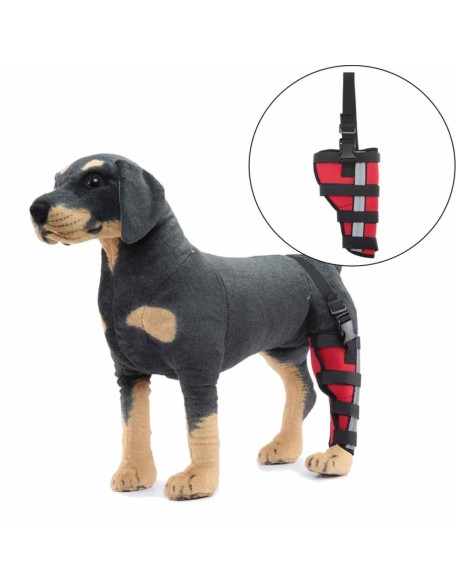 Best Dog Knee Brace for Torn ACL