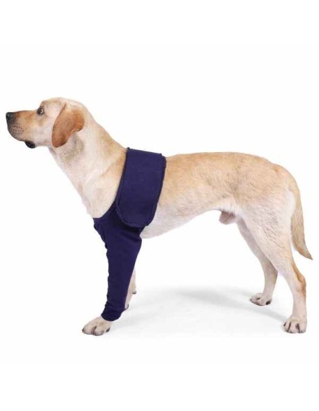 Front Leg Brace For Dogs