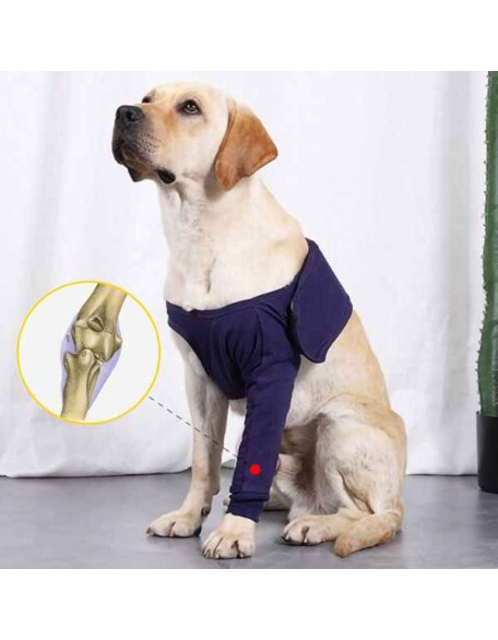 Front Leg Brace For Dogs