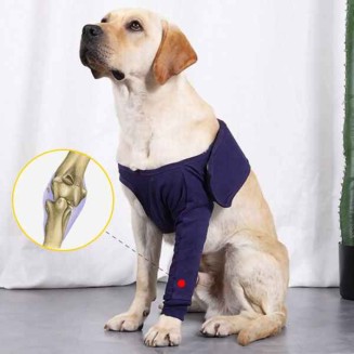 Dog Leg Sleeve for Anti-Licking Anti-Dirt