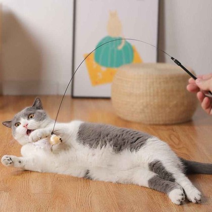 Interactive Bird Simulation Cat Toy Set