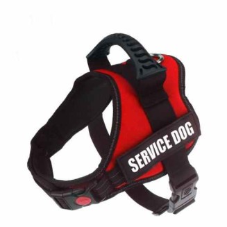 Personalized No Pull Dog Harness