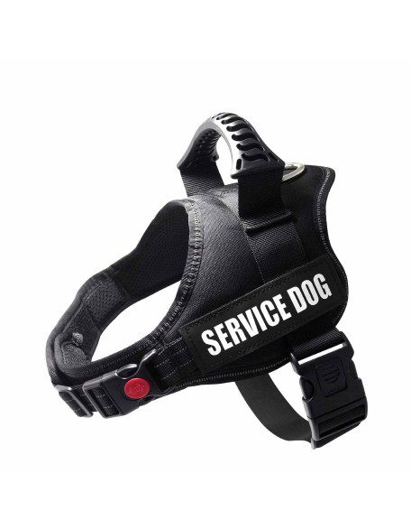 Personalized No Pull Dog Harness