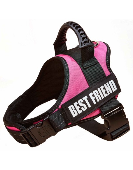 Personalized No Pull Dog Harness