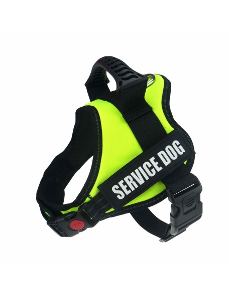 Personalized No Pull Dog Harness