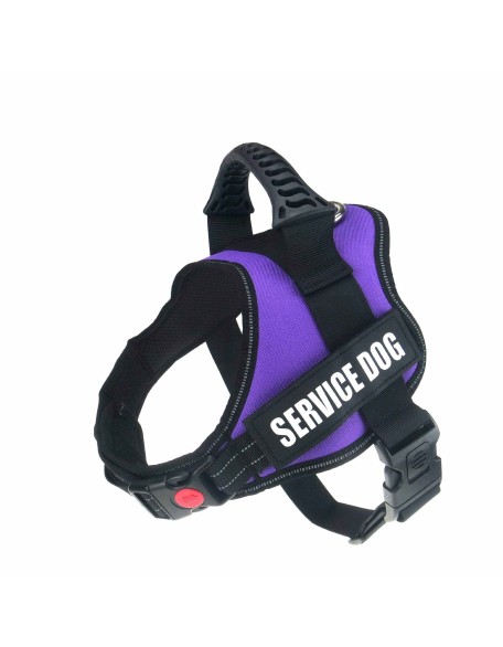 Personalized No Pull Dog Harness