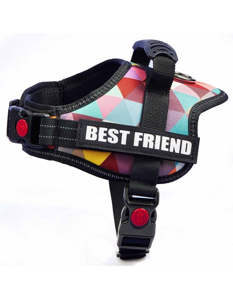 Personalized No Pull Dog Harness