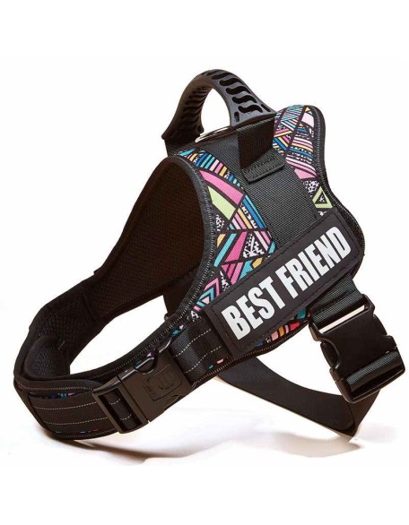 Personalized No Pull Dog Harness