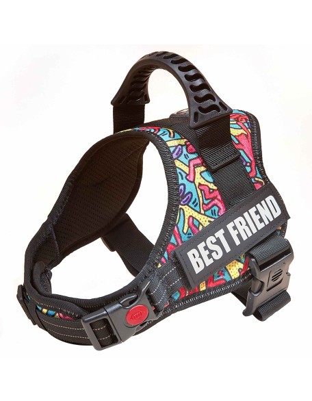 Personalized No Pull Dog Harness