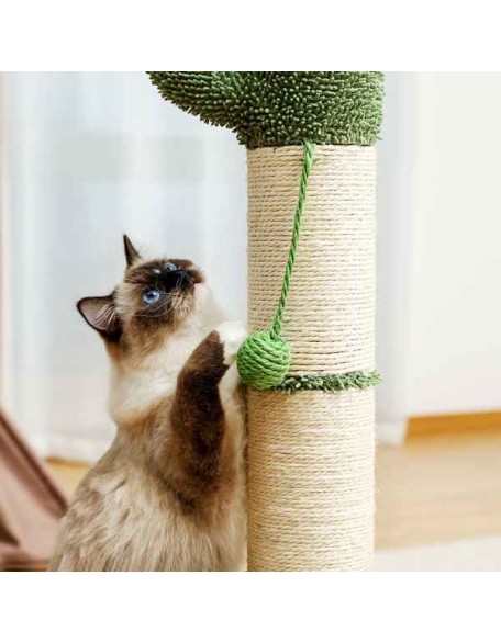 Cactus Cat Tree Cat Scratcher with Sisal Scratching Post and Interactive Dangling Ball For Indoor Cats