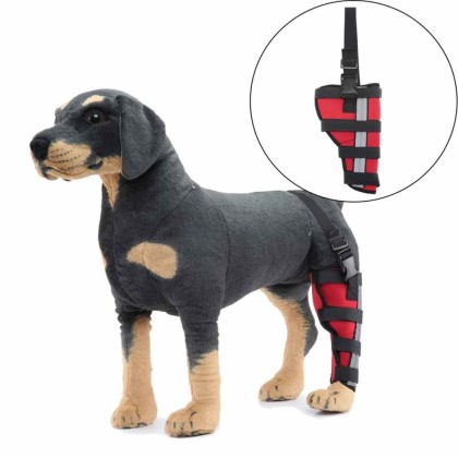 Hinged Dog Leg Brace