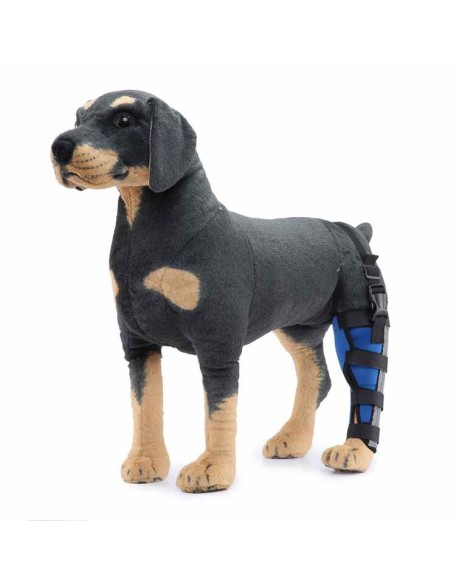 Hinged Dog Leg Brace