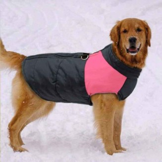 Waterproof Dog Coat for Winter