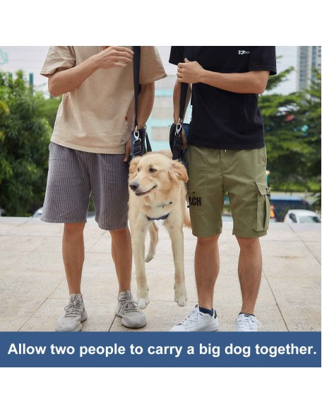 Dog Support Sling for Waist