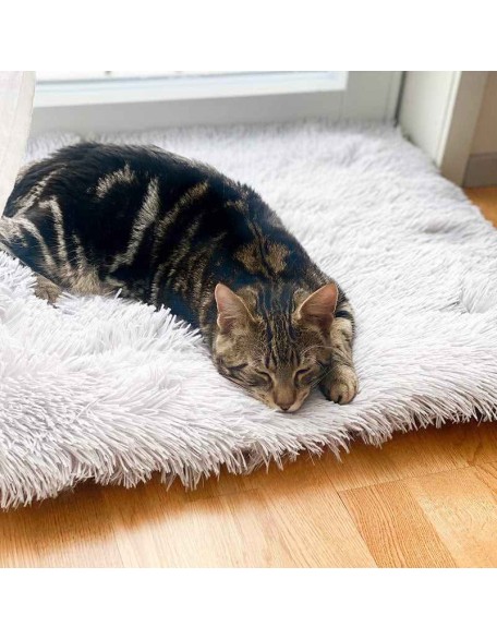 2-in-1 Soothing Cat Bed