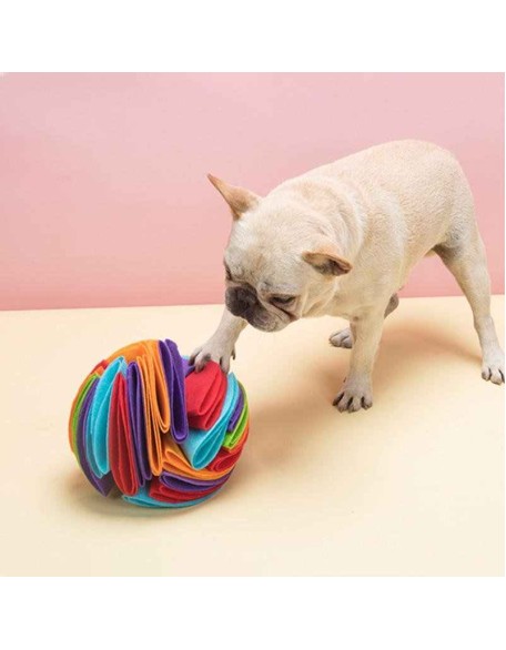 Dog Sniffing Ball Puzzle Toys