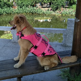 Dog Life Jackets