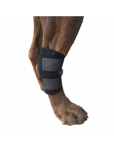 Extra Supportive Canine Hock Brace