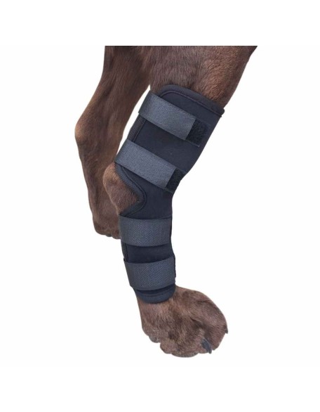 Extra Supportive Canine Hock Brace