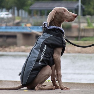 Waterproof Dog Jacket Harness for Cold Weather