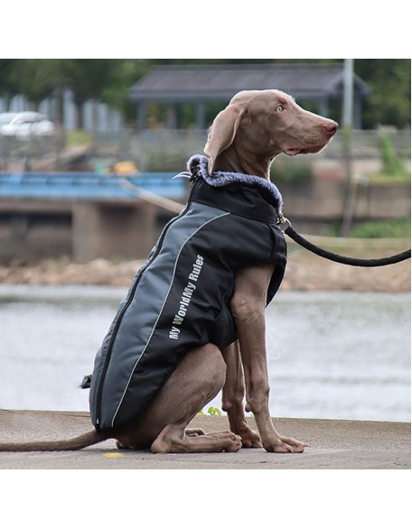 Waterproof Dog Jacket Harness for Cold Weather