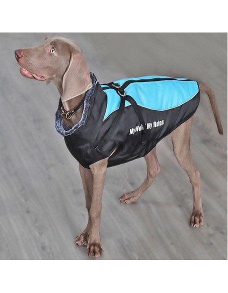 Waterproof Dog Jacket Harness for Cold Weather